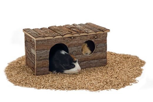 Beeztees Pieneläimen talo Forest Rodent Fun 40x23x20 cm