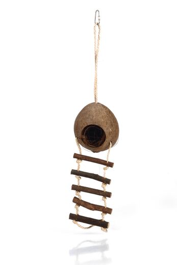 Beeztees Kookosmökki portailla pienjyrsijöille, n. 30cm