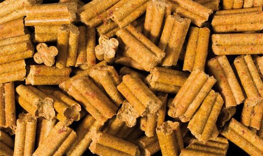 JR-Nature Quad-Bits porkkanapala pelletit 300g
