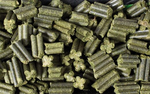 JR-Nature Quad-Bits persiljapalat, pelletit 300g