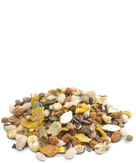 VL Crispy Muesli Hamsteri 20kg