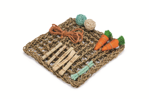 Beeztees Jyrsijän leikkimatto 30,5cm