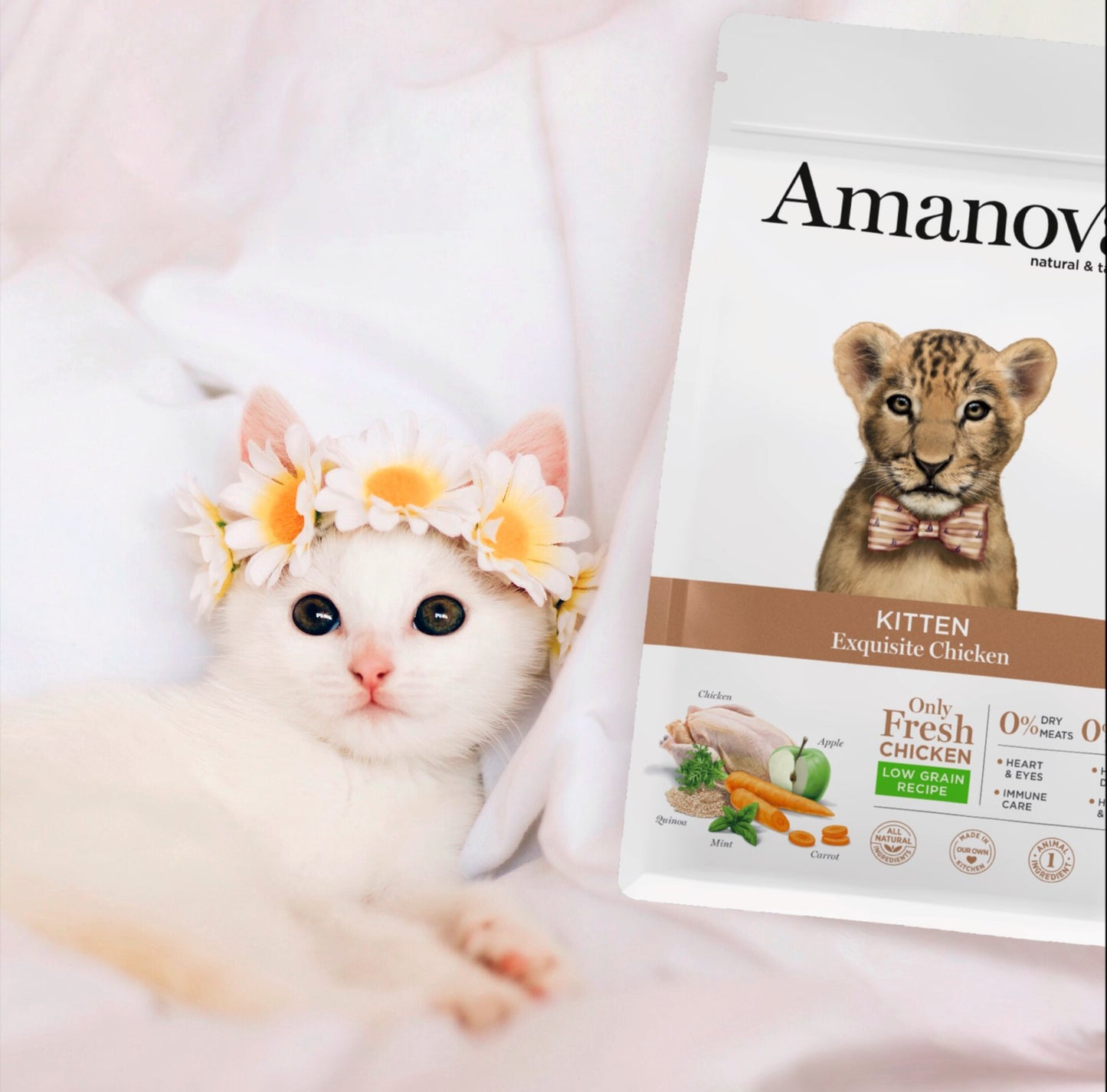 Amanova Cat Kitten Low Grain Kana&Kvinoa