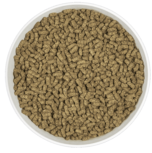 Cunipic Alpha Pro Guinea Pig - marsun ruoka