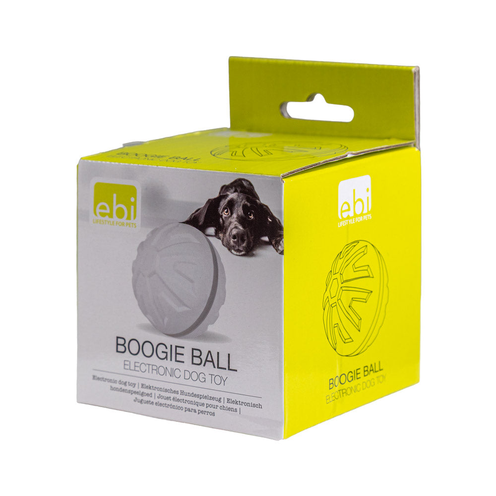 Ebi interaktiivinen Boogie pallo