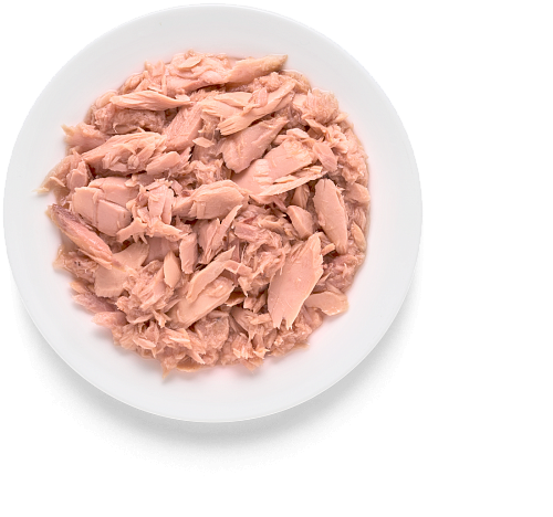 Grandorf Cat Tuna Fillet 70g