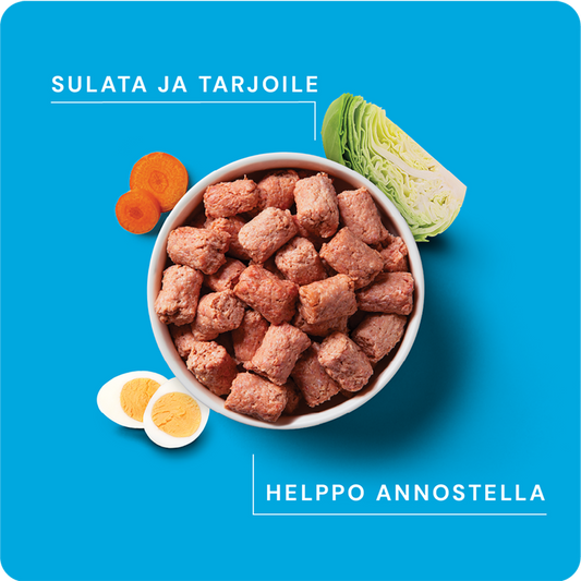 Nutriment by RAUH Nauta-Kana-Kasvikset 1kg