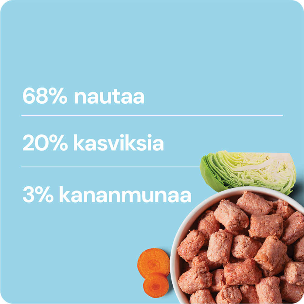 Nutriment by RAUH Nauta-Kana-Kasvikset 1kg