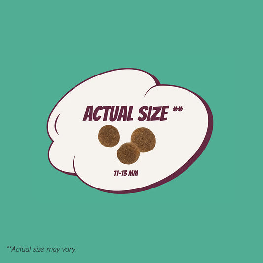 POW! Dog Adult Lamb&Rice