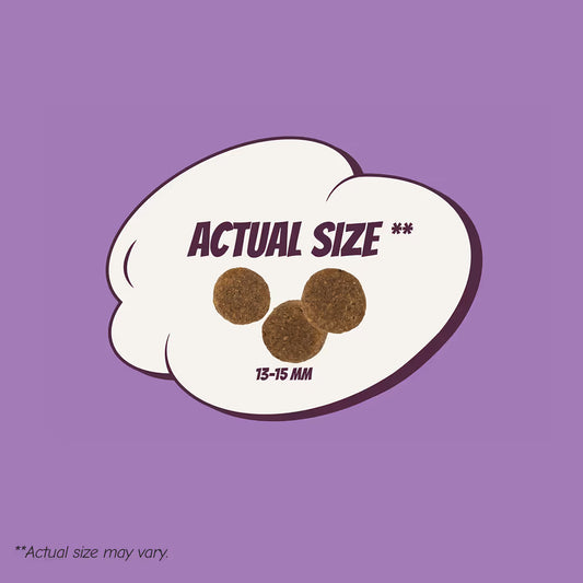 POW! Dog Adult L/XL Pork