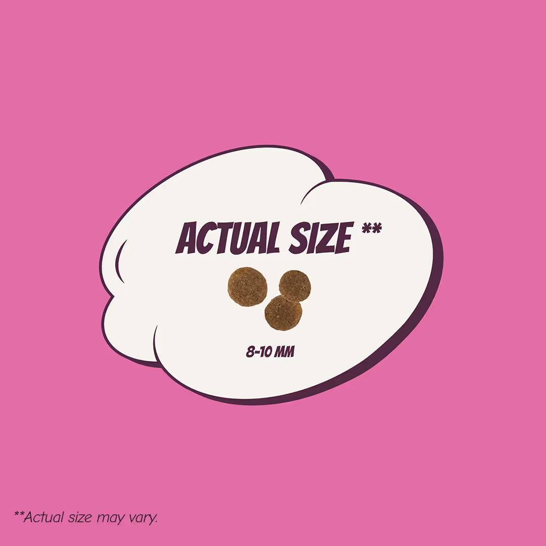 POW! Dog Adult S/M Pork