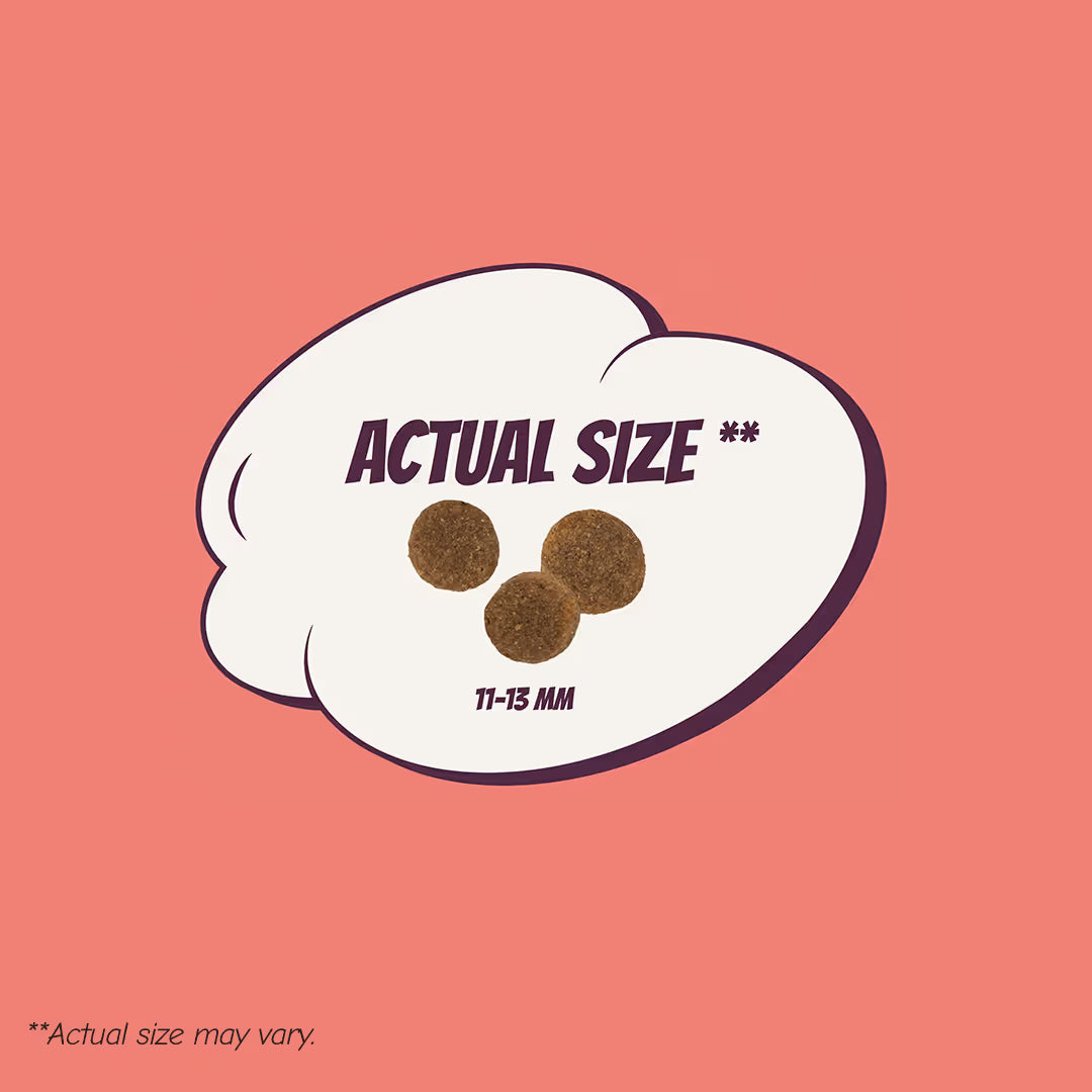 POW! Dog Adult Super Power Pork