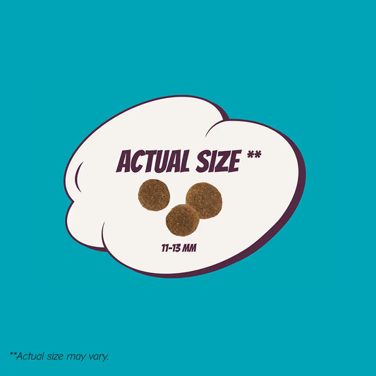 POW! Dog Senior Pork