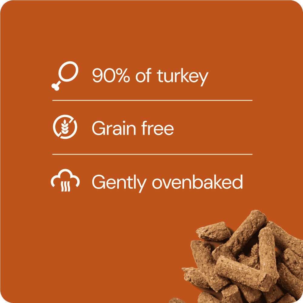 RAUH Turkey Treat - Kalkkunaherkku, 100g