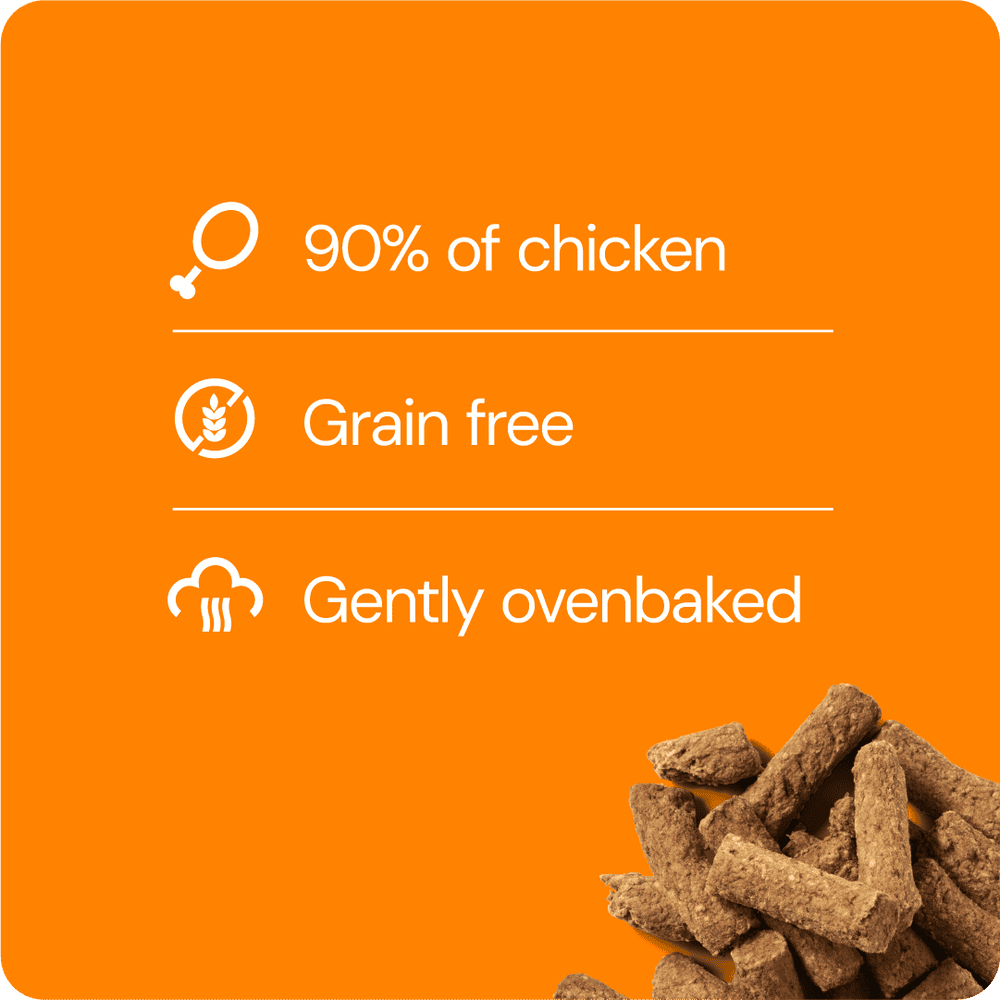 RAUH Chicken Treat - Kanaherkku, 100g