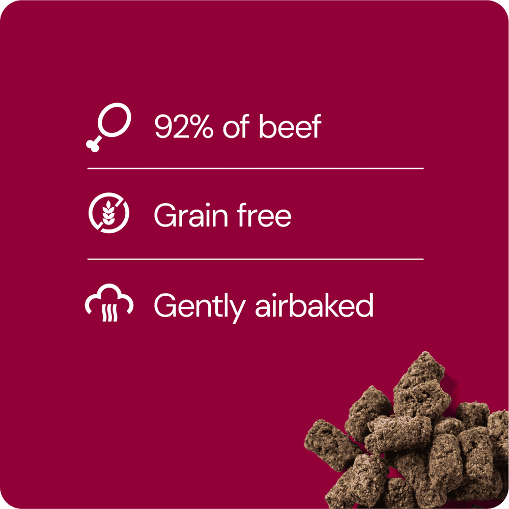 RAUH Cold-dried Meatballs - Kylmäkuivatut lihapullat, 100g