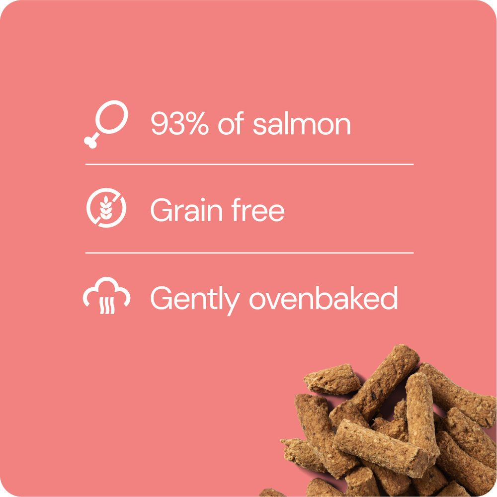 RAUH Salmon Treat - Lohiherkku, 100g