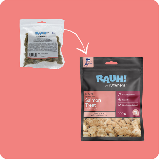 RAUH Salmon Treat - Lohiherkku, 100g