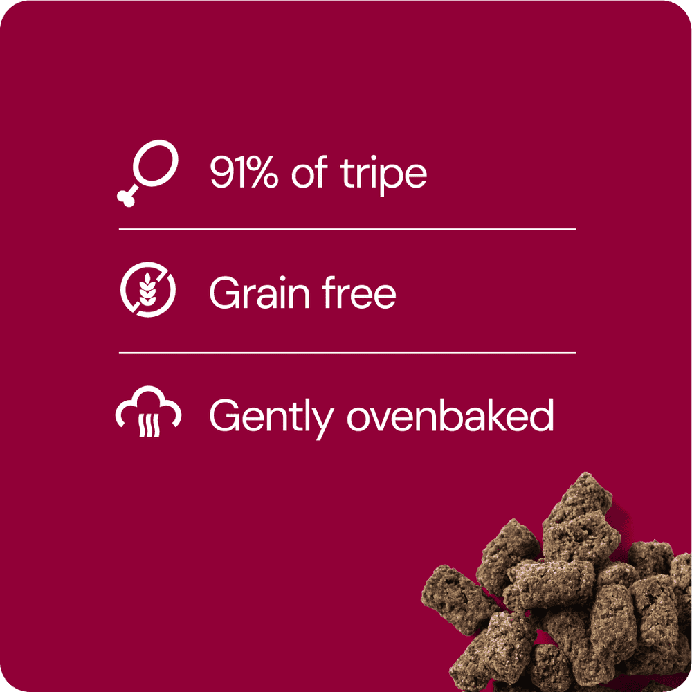 RAUH Tripe Treat - Mahaherkku, 100g
