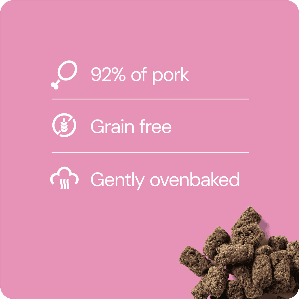 RAUH Pork Treat - Possuherkku, 100g