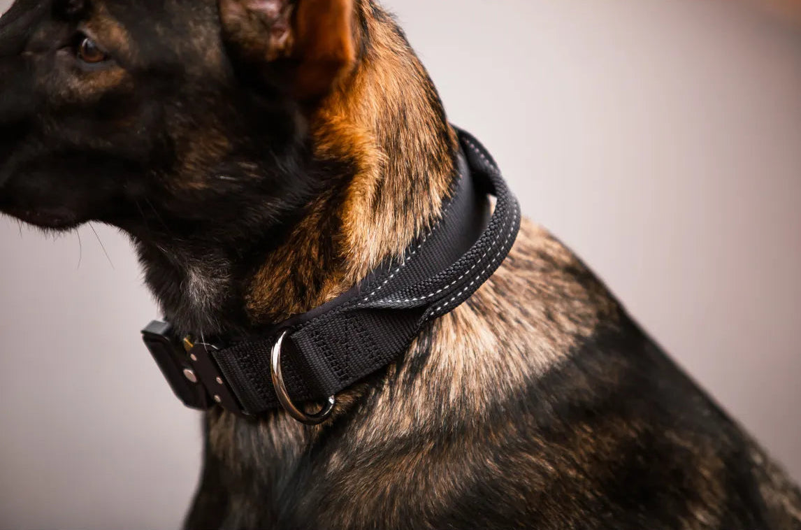 Rukka Pet Mission Collar kahvapanta - oliivinvihreä