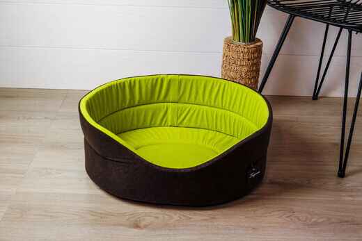 Korkea reunapeti Yohanka, ruskea/kiivi