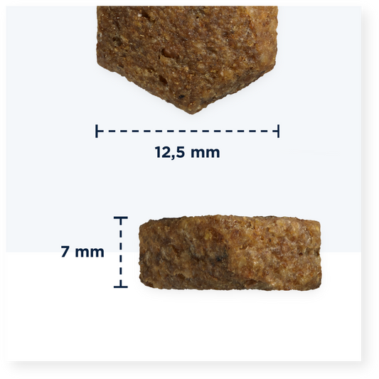 Eukanuba Veterinary Diets Intestinal