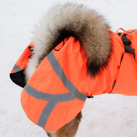 Kivalo Ohto koiran sadetakki, oranssi