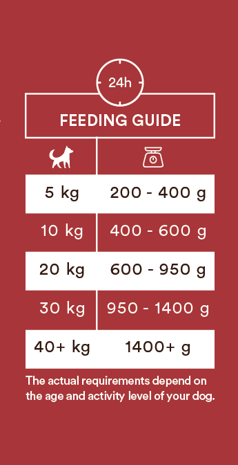 Monster Single Protein Beef 400g