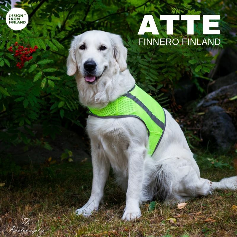 FinNero Atte koiran huomioliivi, neonkeltainen
