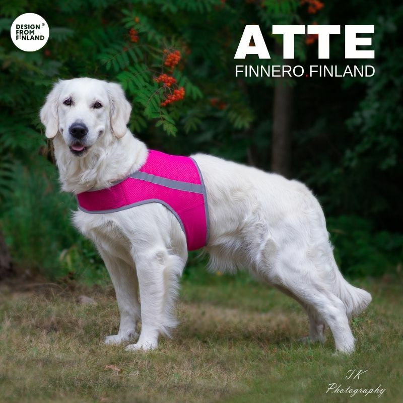 FinNero Atte koiran huomioliivi, pinkki
