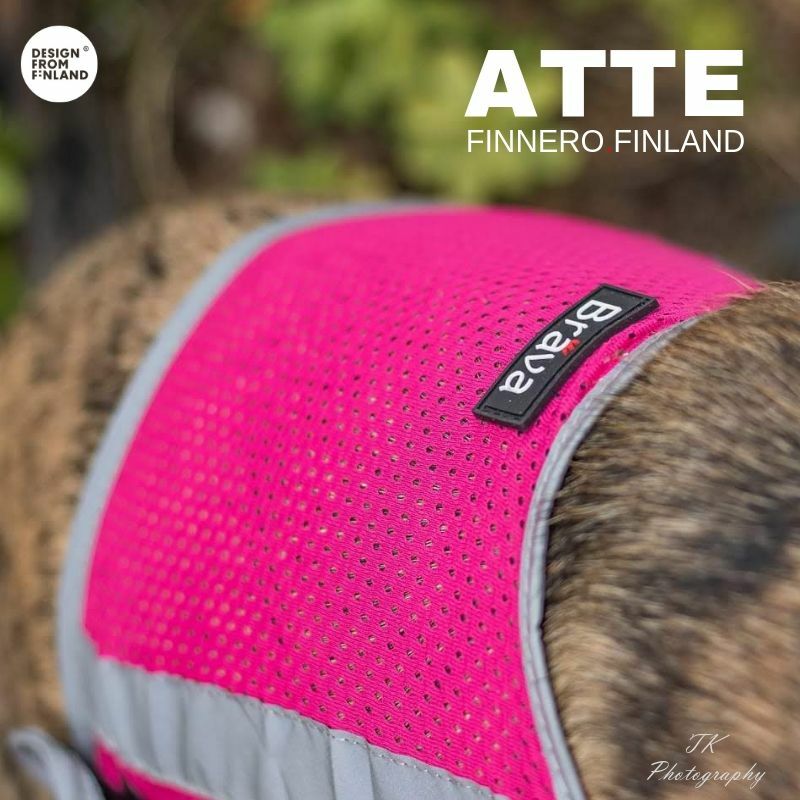 FinNero Atte koiran huomioliivi, pinkki