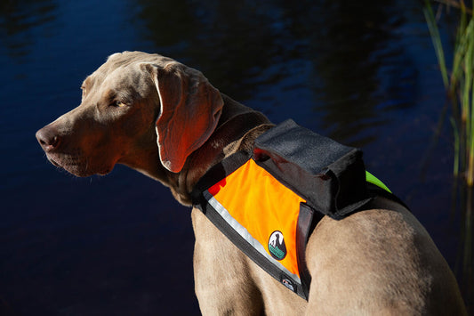 FinNero GPS metsästysliivi koiralle, oranssi/keltainen
