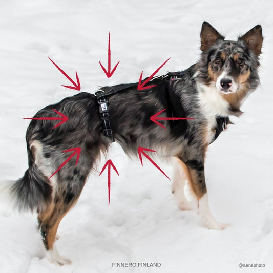 FinNero Rescue valjas stoppari/jarrupala, musta