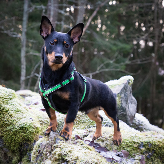 FinNero Rescue valjas, vihreä