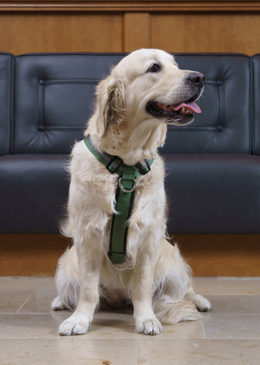 FinNero Salon valjas, metsänvihreä