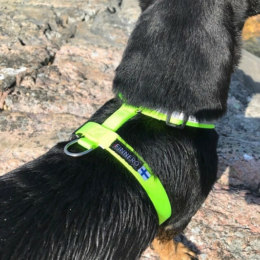 FinNero Salon valjas, neonkeltainen