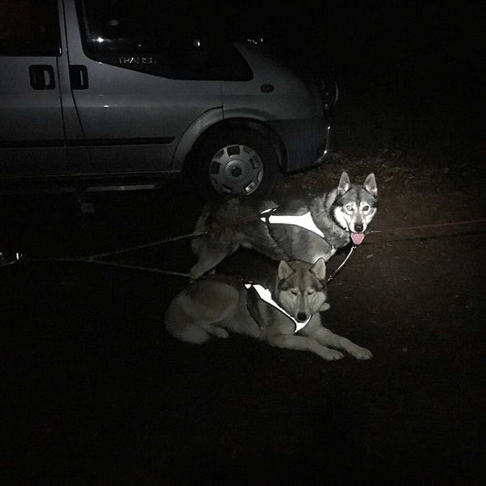 HDA Flash Heijastava vetoavaljas