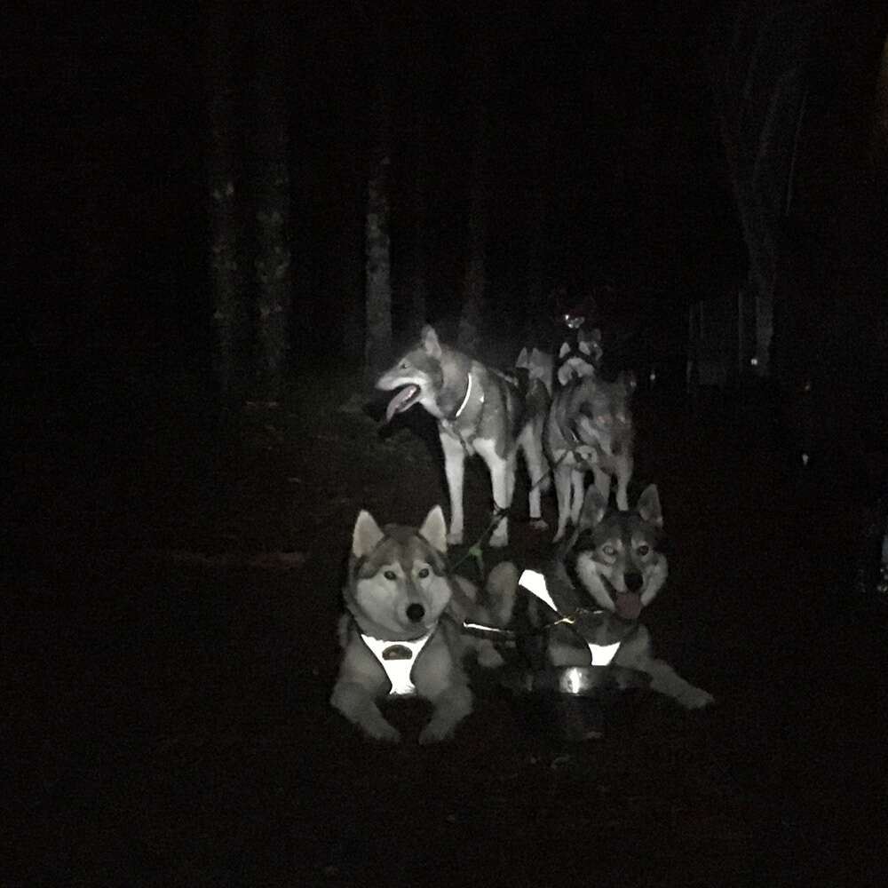 HDA Flash Heijastava vetoavaljas