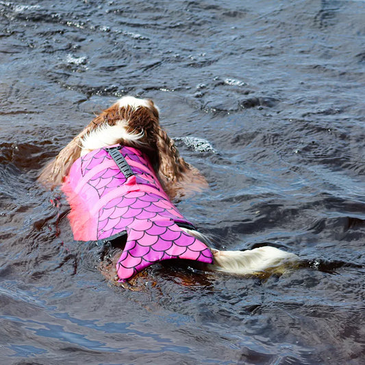 Boogie koiran pelastusliivi merenneito