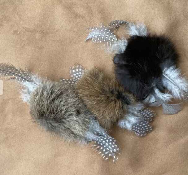 Ruohotupa Pupuperhonen