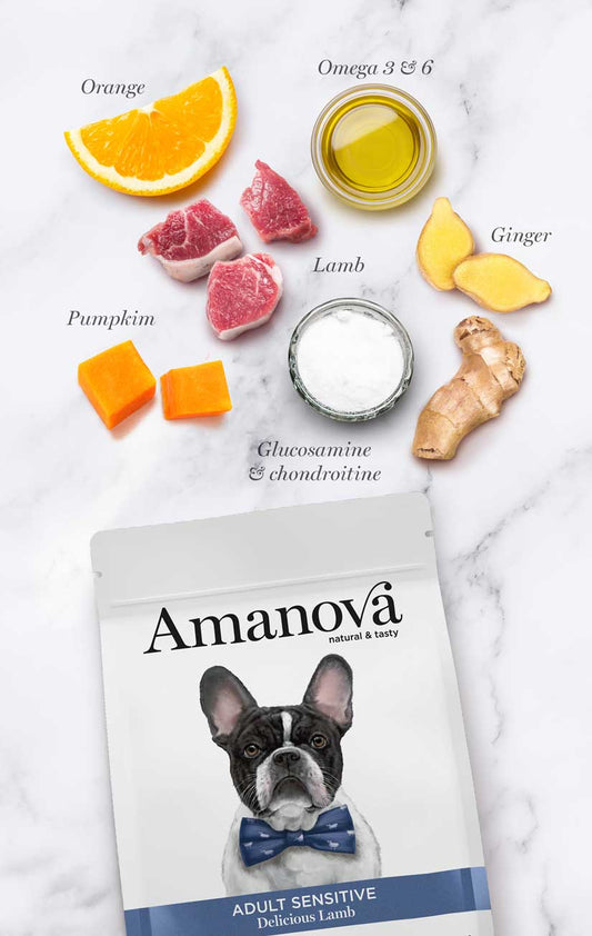 Amanova Dog Adult Sensitive lammas & kurpitsa