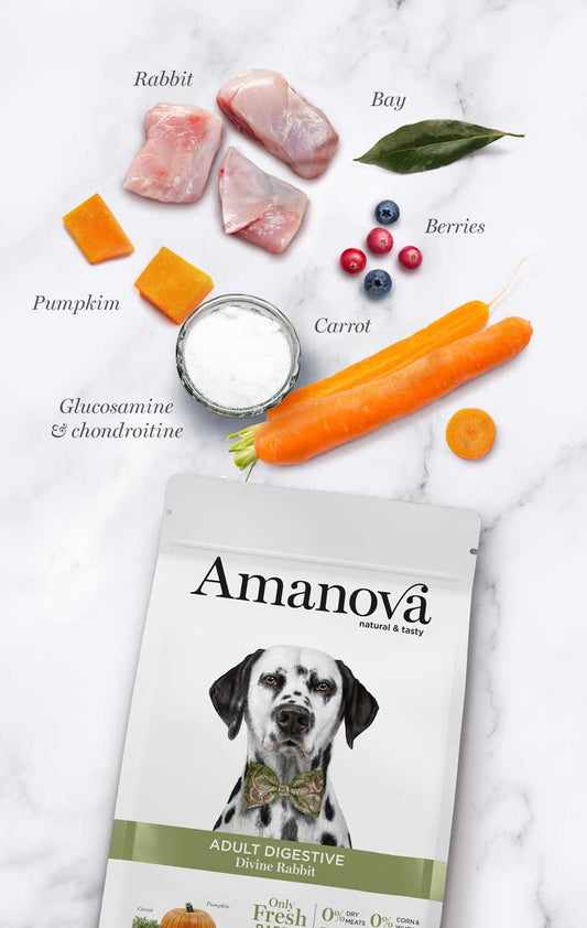 Amanova Dog Digestive kani & kurpitsa