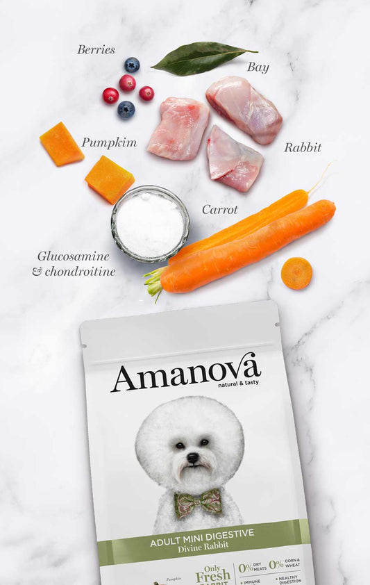 Amanova Dog Mini Digestive kani & kurpitsa