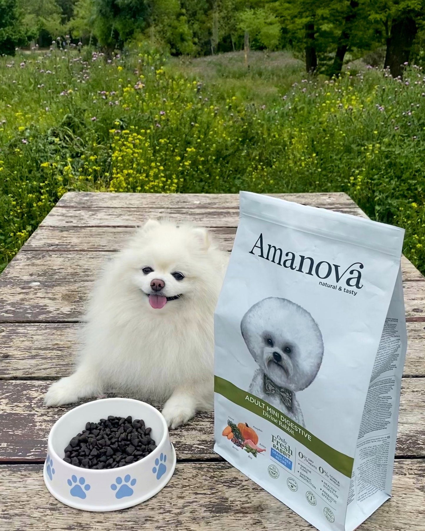 Amanova Dog Mini Digestive kani & kurpitsa