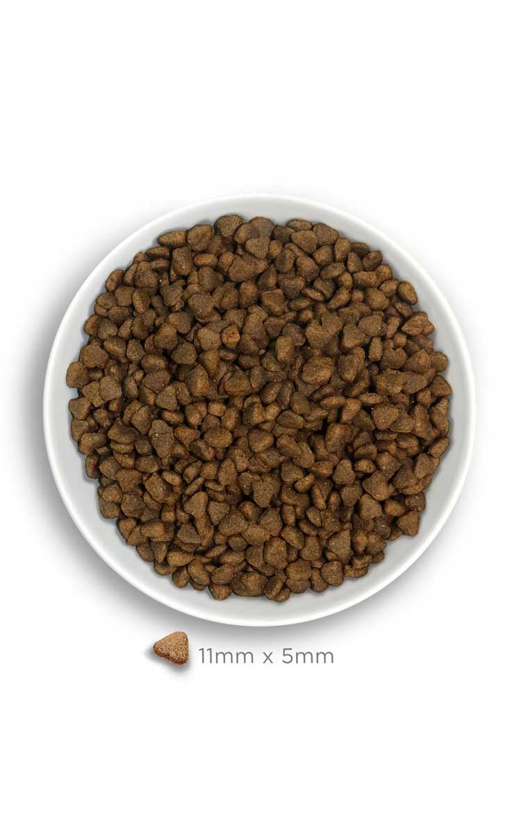 Amanova Dog Mini Digestive kani & kurpitsa