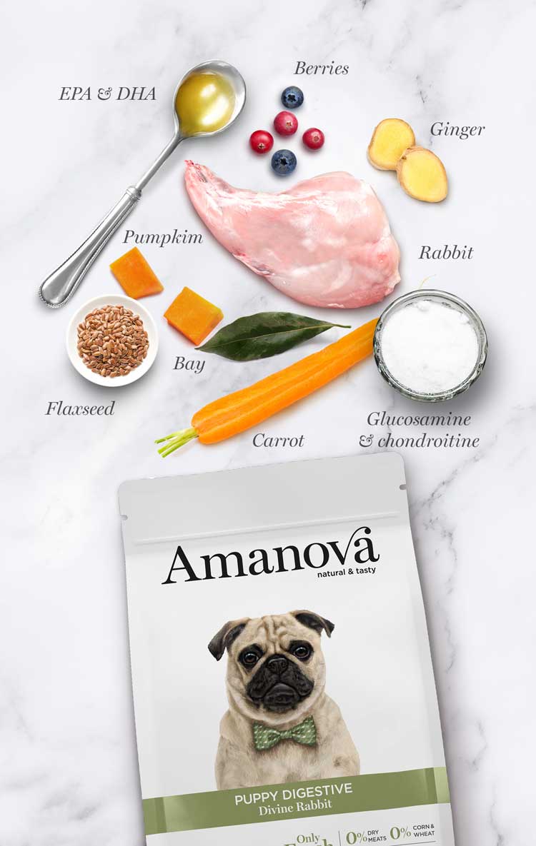 Amanova Dog Puppy Digestive kani & kurpitsa