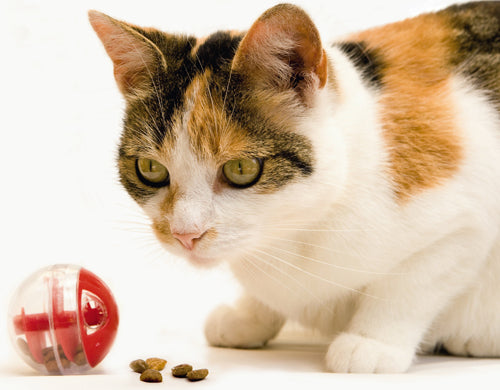 Beeztees Kissan herkkupallo Twirly 5,5cm