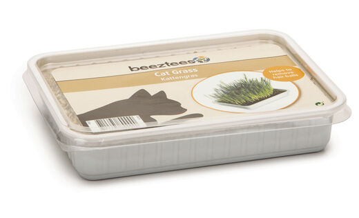 Beeztees Kissanruohon siemenet 130g