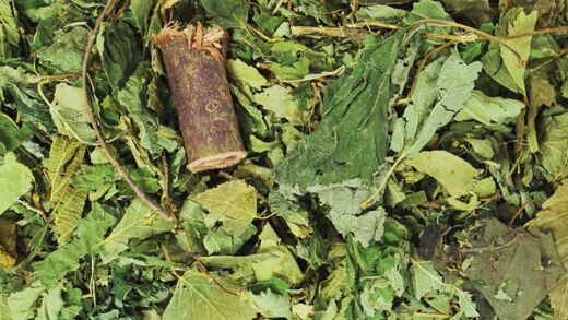 JR Metsäsekoitus 100g